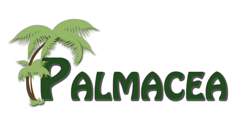 Palmacea